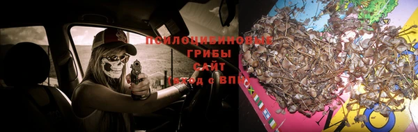 Альфа ПВП Алексин