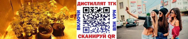 KRAKEN ONION  Королёв  ТГК вейп с тгк 
