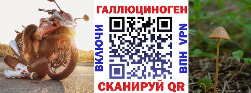 ОМГ ОМГ как зайти  Королёв  Галлюциногенные грибы Cubensis 
